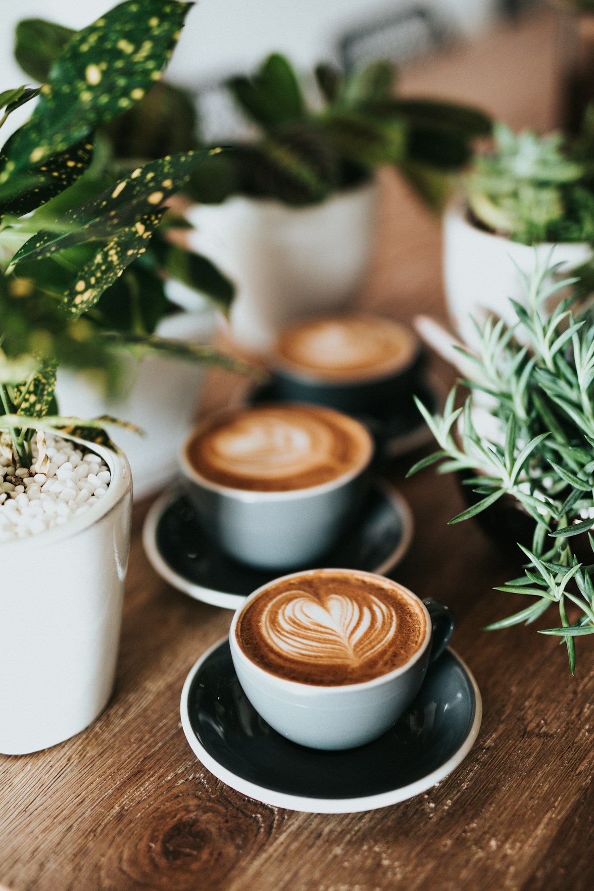 Taza de café con arte latte - estudio de Texas A&M University sobre compuestos del café que activan el receptor NR4A1 para combatir el estrés y el envejecimiento celular