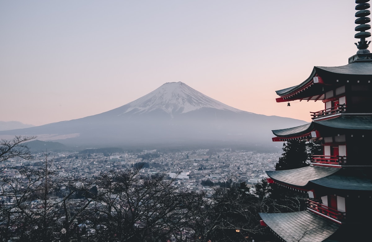 Personas mayores disfrutando de actividades culturales - museos y teatros para un envejecimiento saludable - estudio del Instituto de Ciencia de Tokio