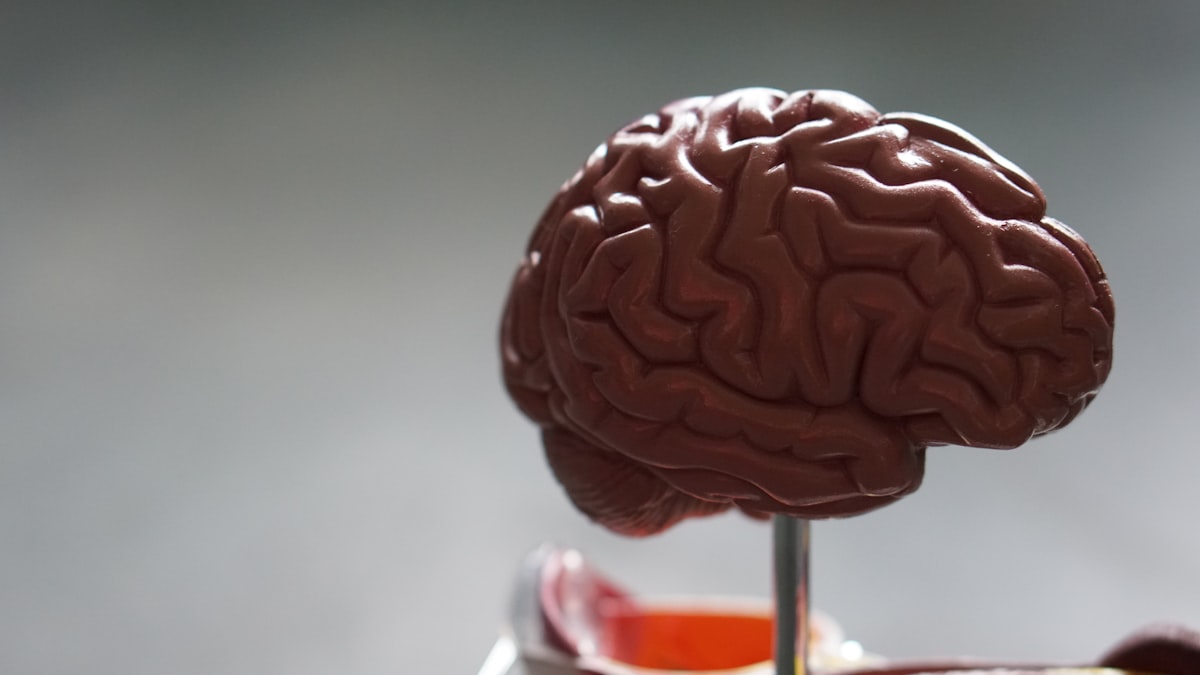 Imagen ilustrativa de un cerebro con actividad neuronal, para artículo sobre el ensayo clínico de tirofiban en pacientes con ACV isquémico
