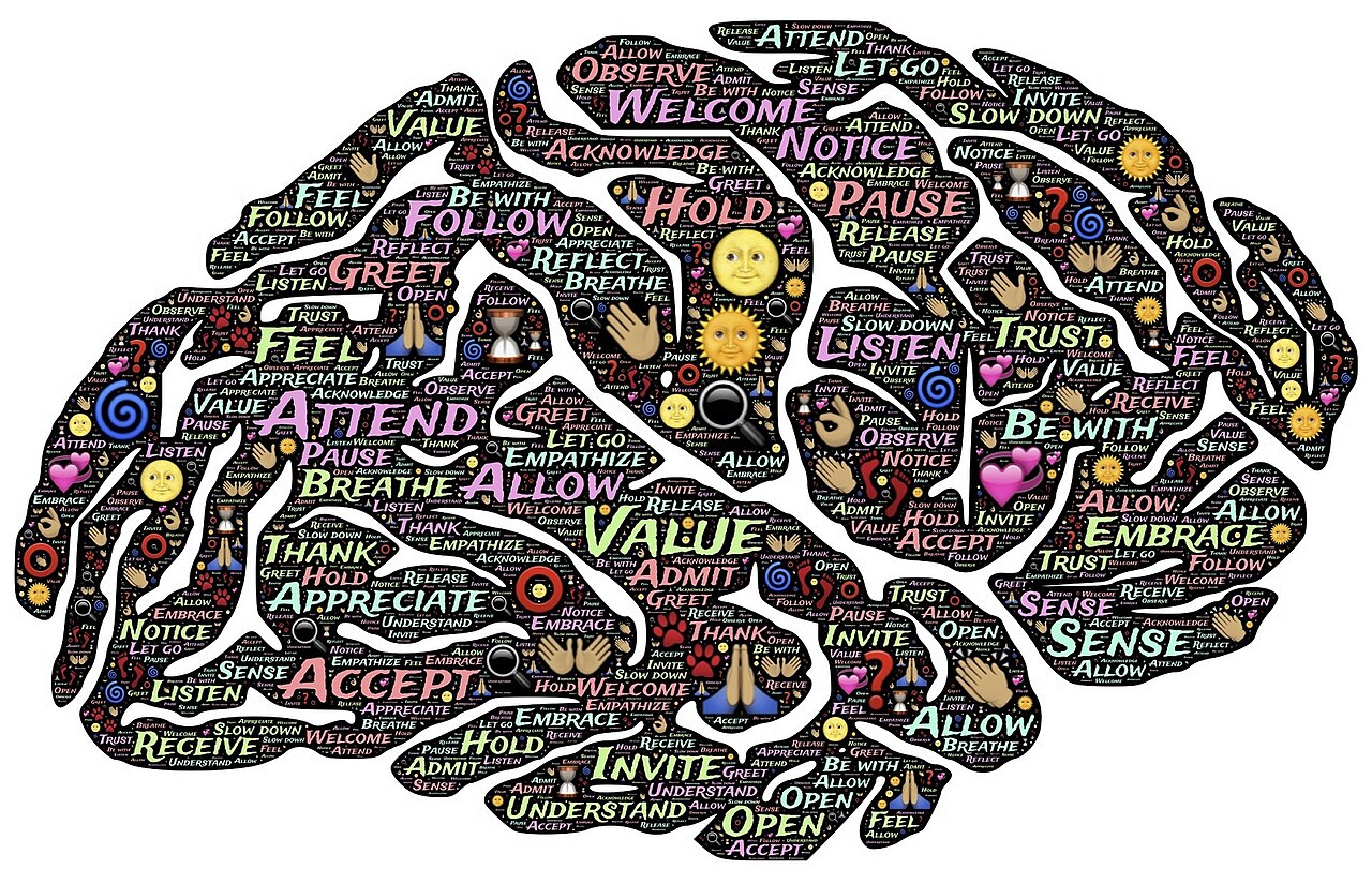 Apps contra terapeutas: 4 soluciones digitales de salud mental que compiten en Australia 3 Ilustración del cerebro y la atención plena para salud mental