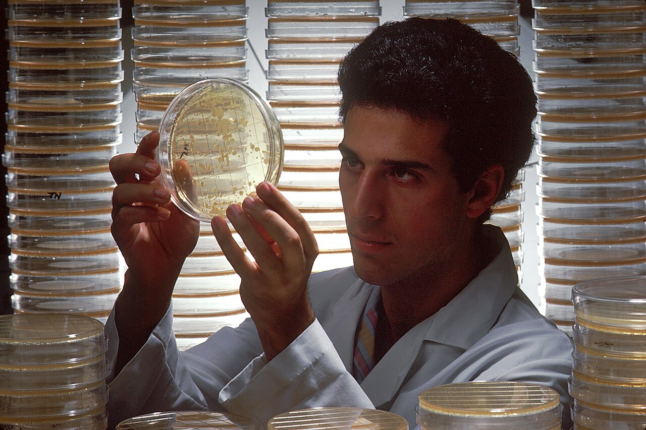 Resistencia a los antibióticos en Europa: 35.000 muertes y objetivos que no se cumplen 7 Microbiólogo examina una placa de Petri con colonias bacterianas en un laboratorio
